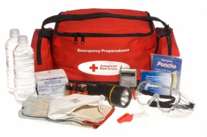 For a complete list of stuff, visit http://www.redcross.org/prepare/location/home-family/get-kit.